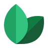 Therapeutic oils icon